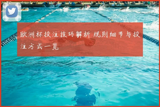 欧洲杯投注技巧解析 规则细节与投注方式一览